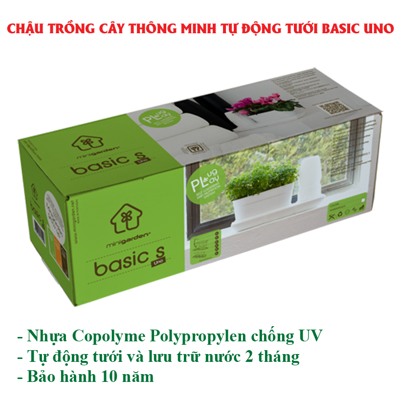 CHẬU TRỒNG CÂY ĐỂ BÀN THÔNG MINH TỰ ĐỘNG TƯỚI BASIC UNO trong 2 tháng