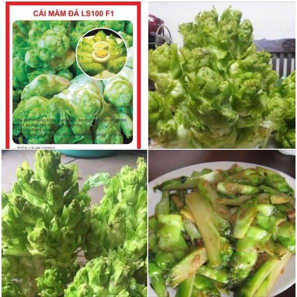 Hạt giống rau cải mầm đá F1 - 0,2gr/gói