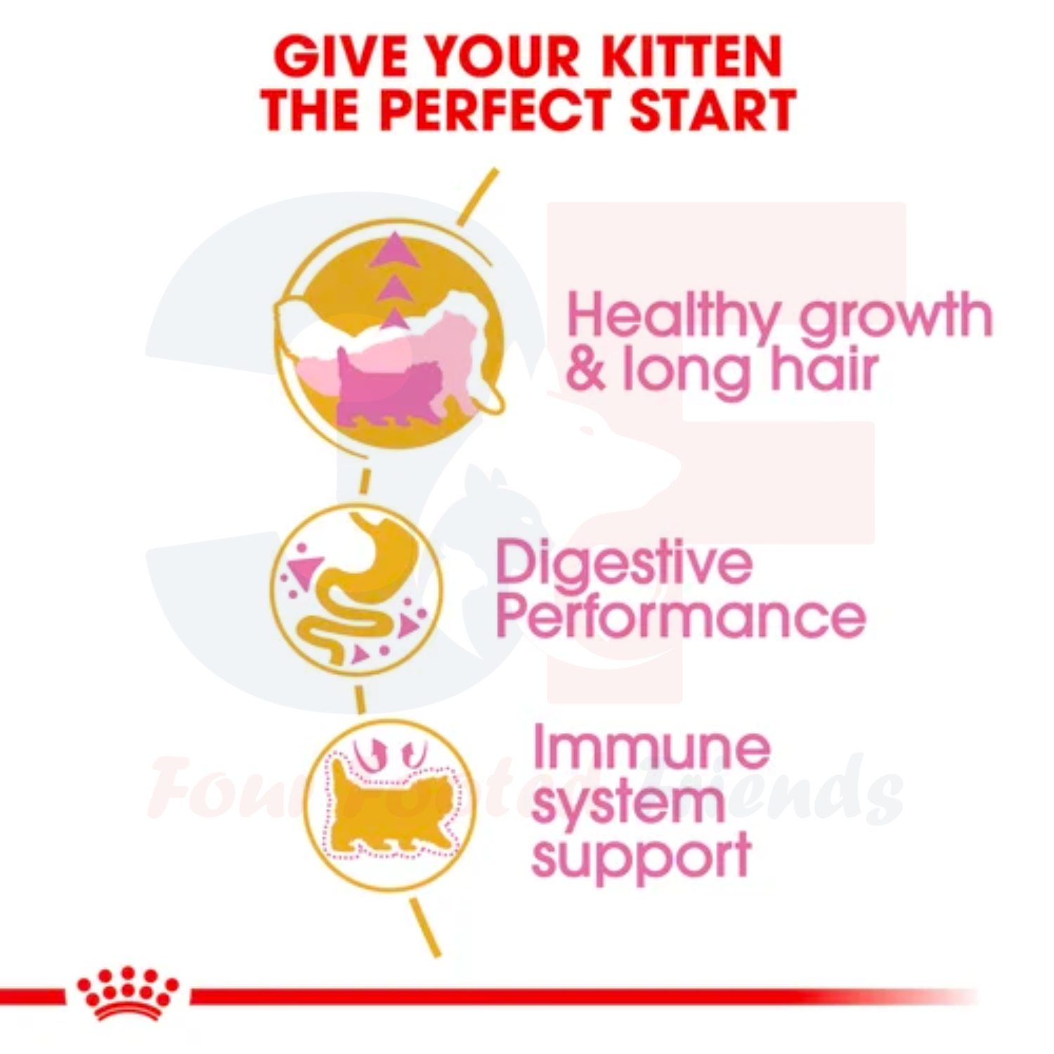 Thức Ăn Cho Mèo Ba Tư từ 4-12 Tháng Tuổi Royal Canin Persian Kitten