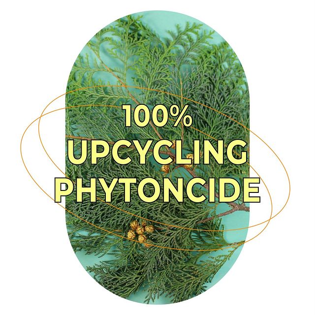 Tẩy da chết nhẹ nhàng KLAVUU Phytoncide Peeling Gel 80ml