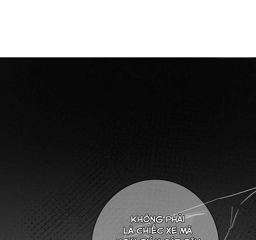 nịch tửu chapter 95 1