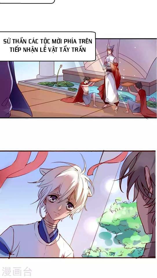 nữ chủ là nhân vật phản diện chapter 1 11