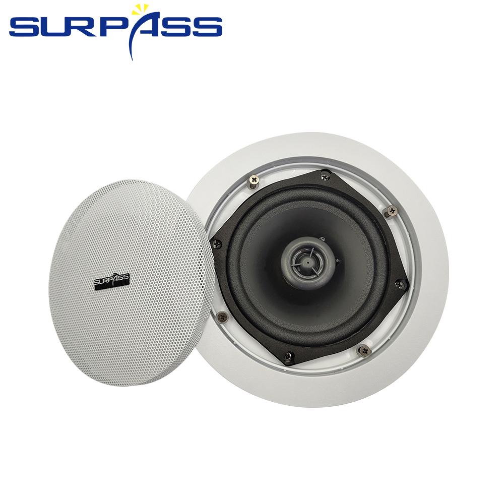 Aiyima 2 Mini Loa Tweeter Trình Điều Khiển 6Ohm 20W Màng Lụa Loa Neodymium Loa Treble Cho Ngôi Nhà Mô âm Thanh Xe Hơi