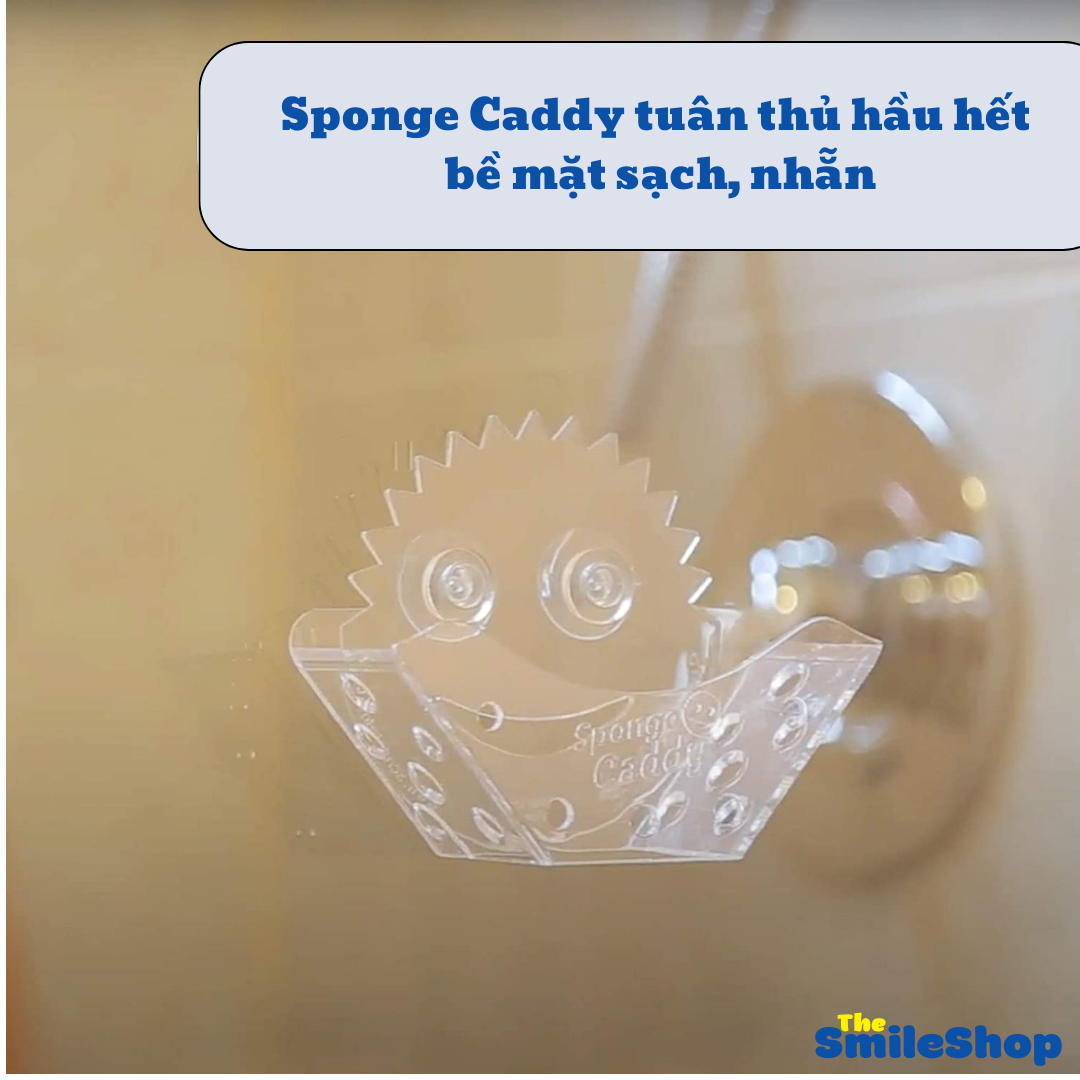 Giá đỡ miếng rửa chén Scrub Daddy Sponge Caddy 1 cái của Mỹ phù hợp mọi loại miếng rửa chén, bọt biển rửa chén