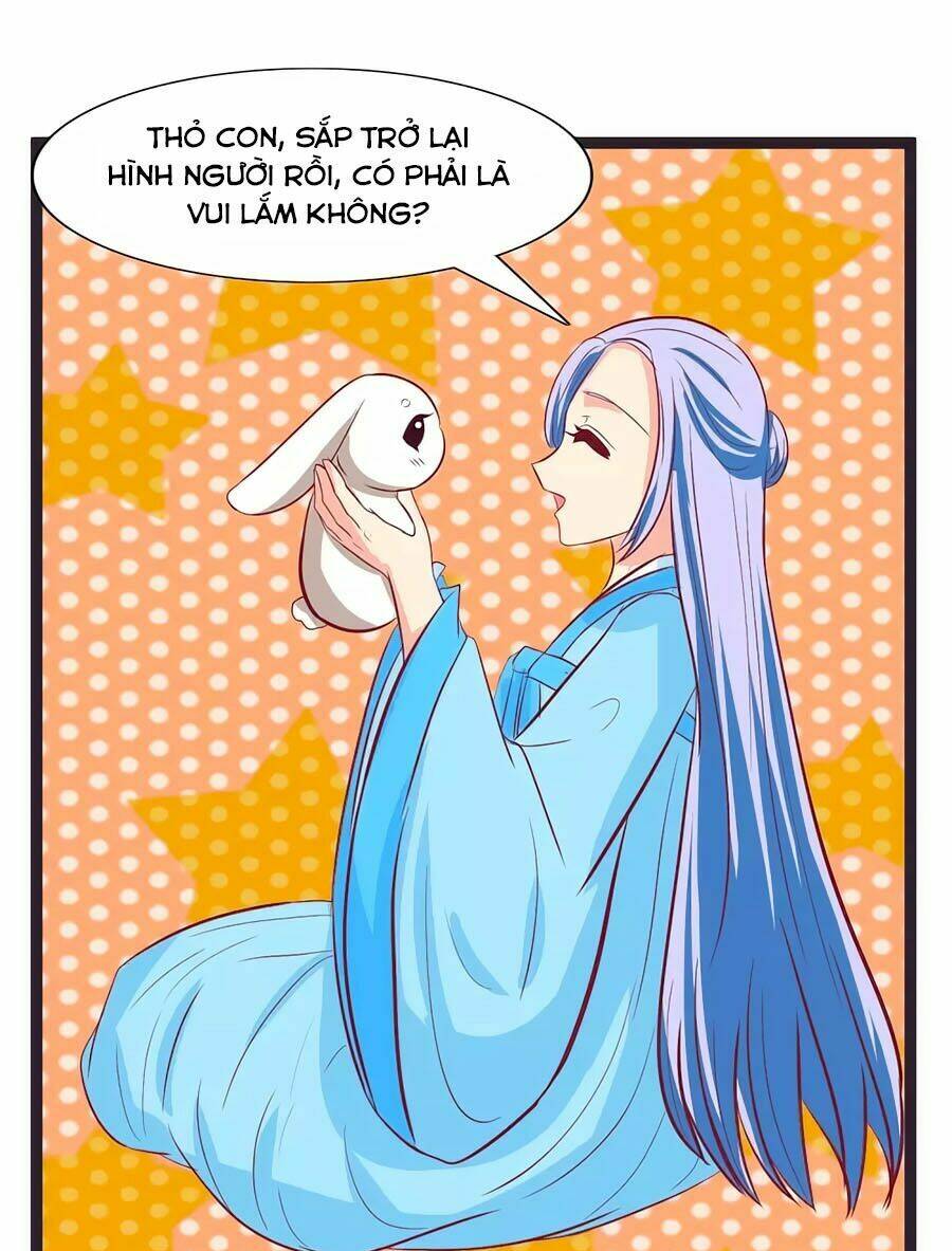 thỏ yêu tiểu vương phi chapter 102 6