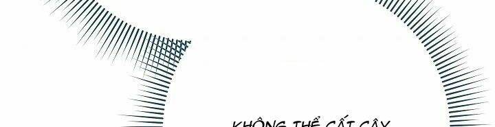 cuộc hôn nhân vụ lợi chapter 36.2 29