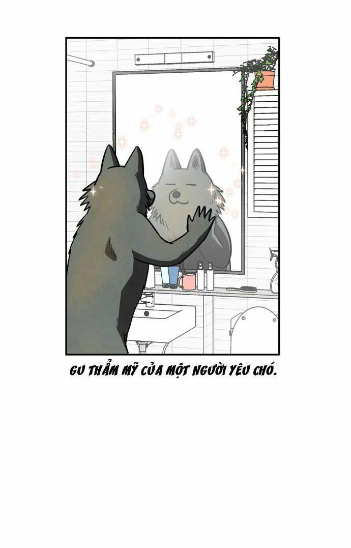 tai sói và mũ đỏ chapter 38 61
