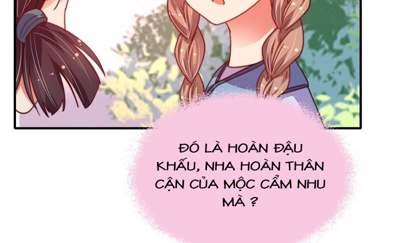 ngày nào thiếu soái cũng ghen chapter 23 34