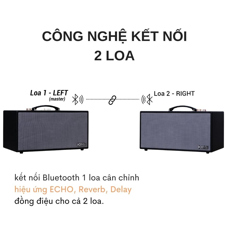 Loa kéo Acnos NL4501 Ultra - Loa di động thùng gỗ bọc da công suất 750W tặng kèm micro hát karaoke chống hú cao cấp - Hàng nhập khẩu