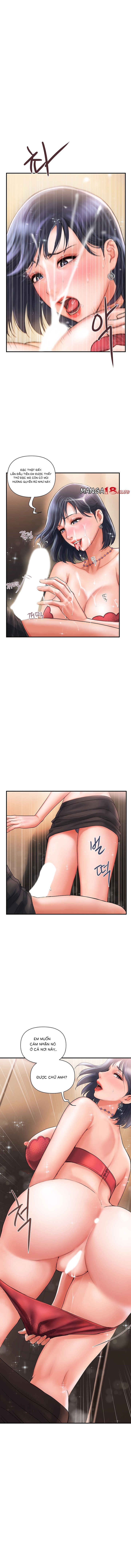 chất dẫn dục chapter 2 16