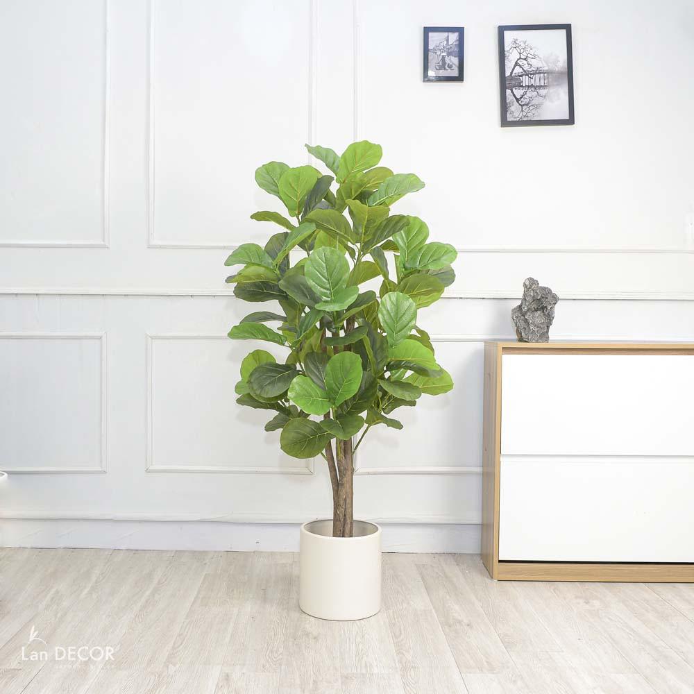 Cây bàng Singapore giả giống thật 99% - Cao 135 cm – Cây giả, hoa lụa decor trang trí rẻ, bền, đẹp