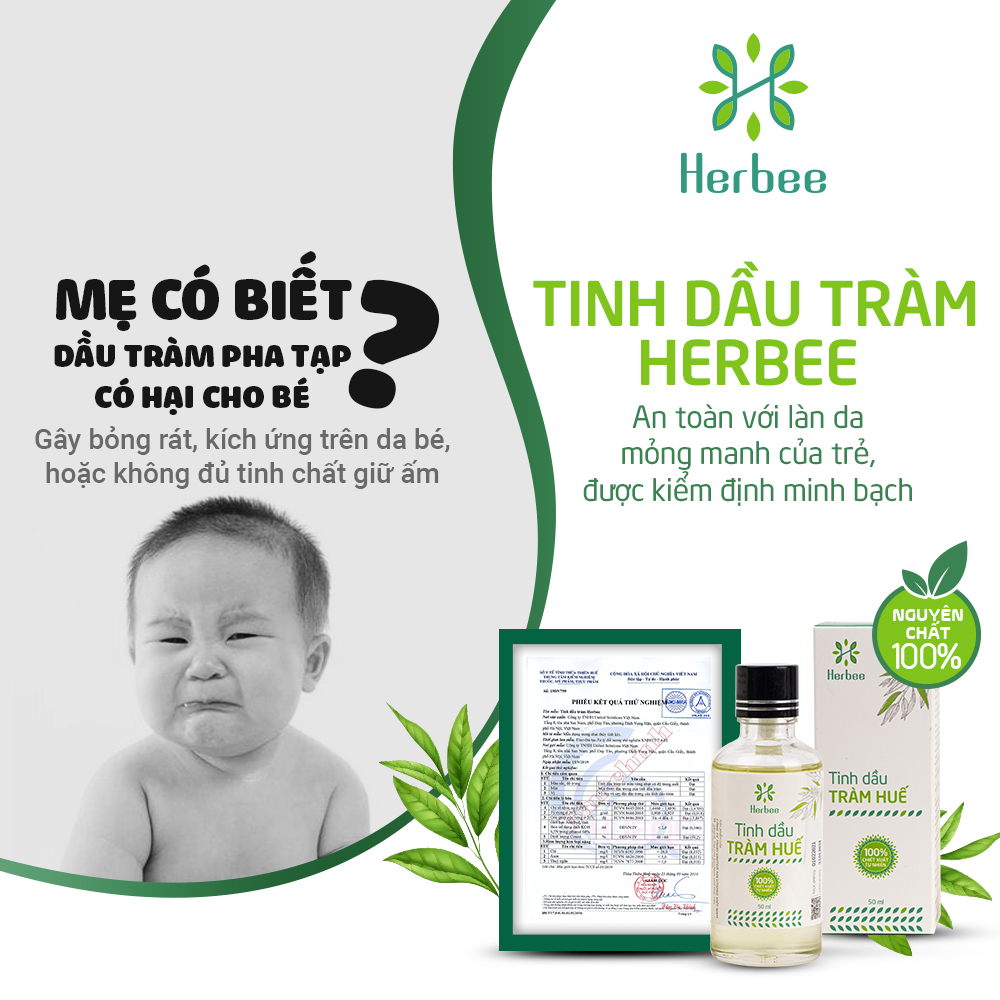 Tinh Dầu Tràm Herbee , Dầu Tràm Nguyên Chất, Giữ Ấm Cơ Thể Khi Trời Lạnh, Chiết Xuất 100% Từ Lá Tràm Gió Huế