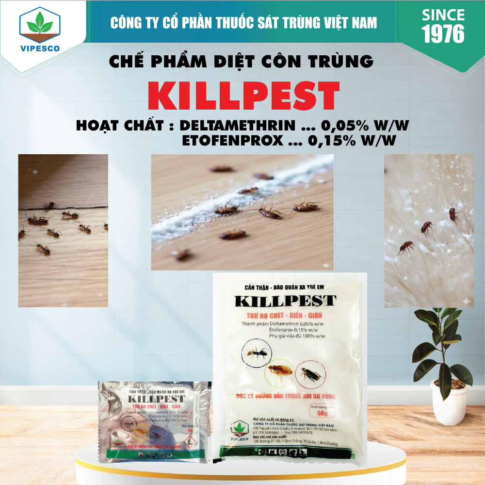 KILLPEST-50GR - DIỆT TRỪ BỌ CHÉT, KIẾN, GIÁN