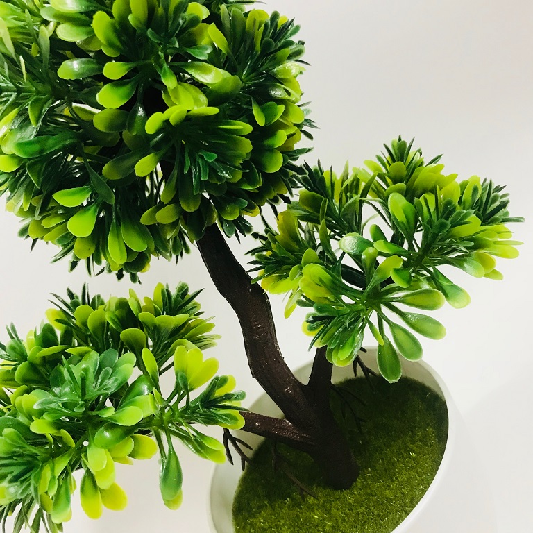 Chậu Bonsai nhựa 3 nhánh dáng đứng các màu