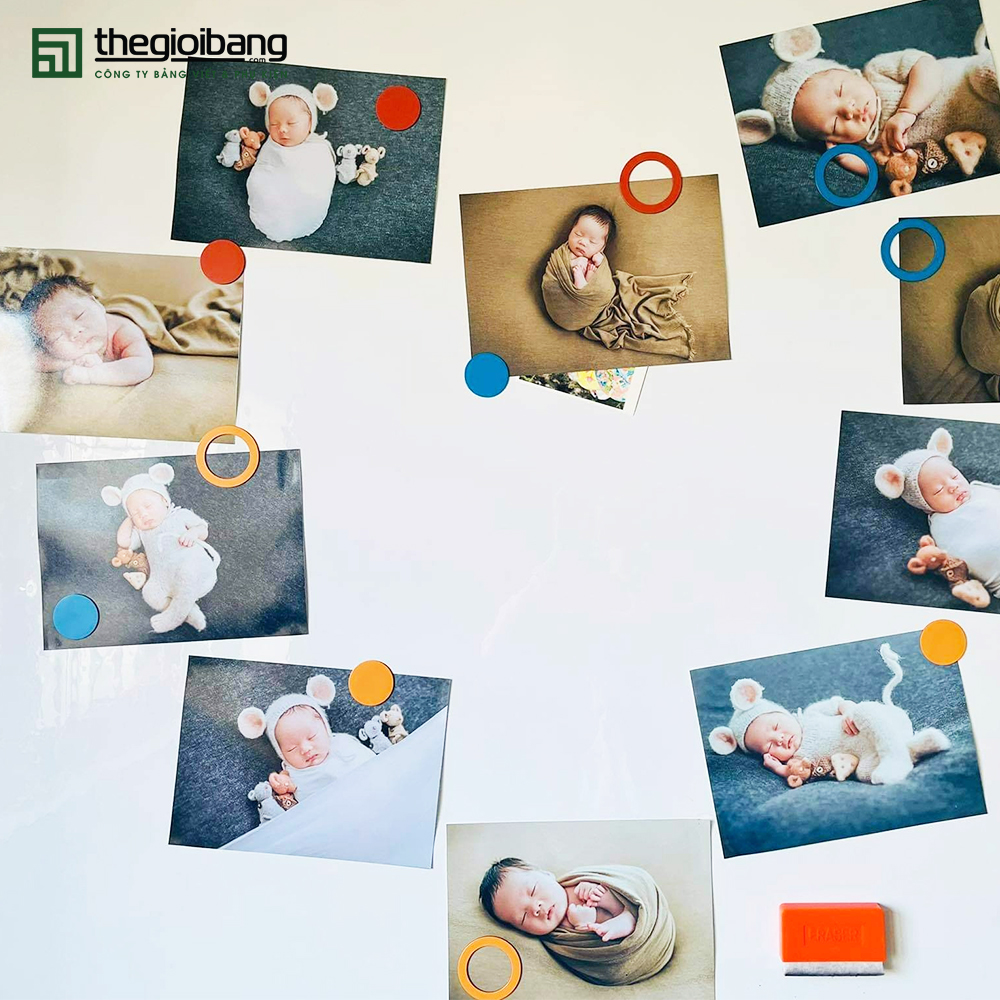 Cuộn Bảng Từ Trắng Hít Nam Châm MAGROLL - KT 60x90cm - Tân Hà - Tặng Phụ Kiện