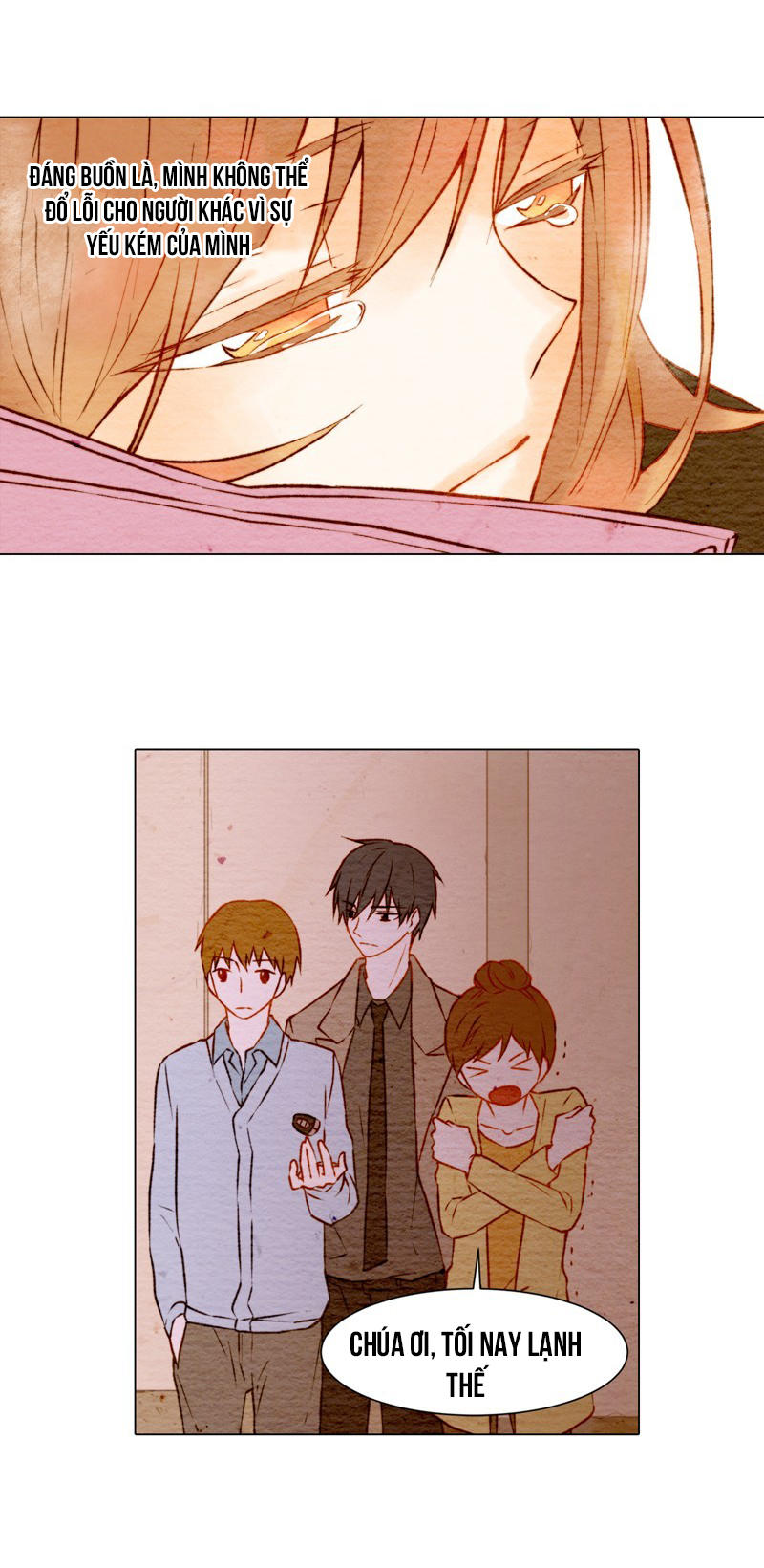 sao chép chapter 8 14