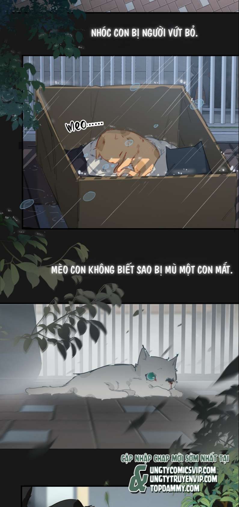 tôi bị điên đó chapter 2 7