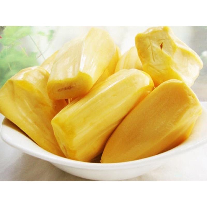 Cây giống mít không hạt, quả bổ ra không mủ không hạt vị ngọt thanh