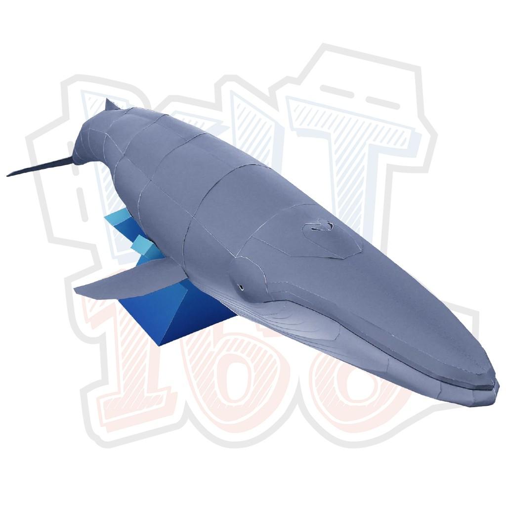 Mô hình giấy động vật Cá voi xanh