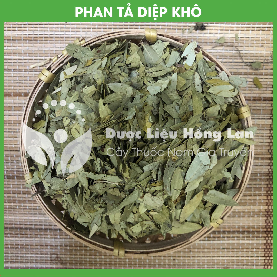 Lá Phan Tả Diệp khô 1kg