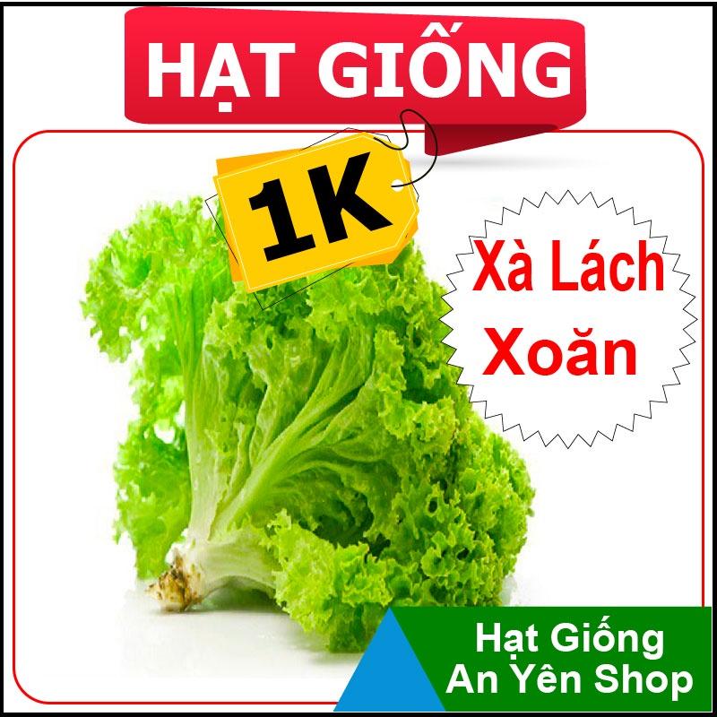 Hạt Giống 1K trồng thử Rau Ăn Lá, năng suất cao, dễ trồng, thu hoạch sớm