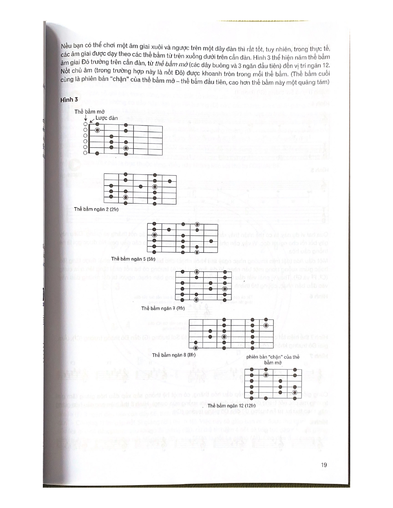 Phương Pháp Chơi Guitar - Sách Văn Lang