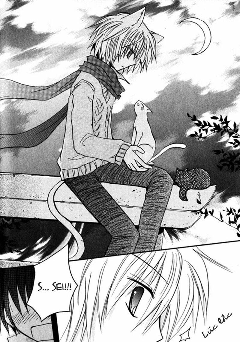 boku x neko? chapter 2 24