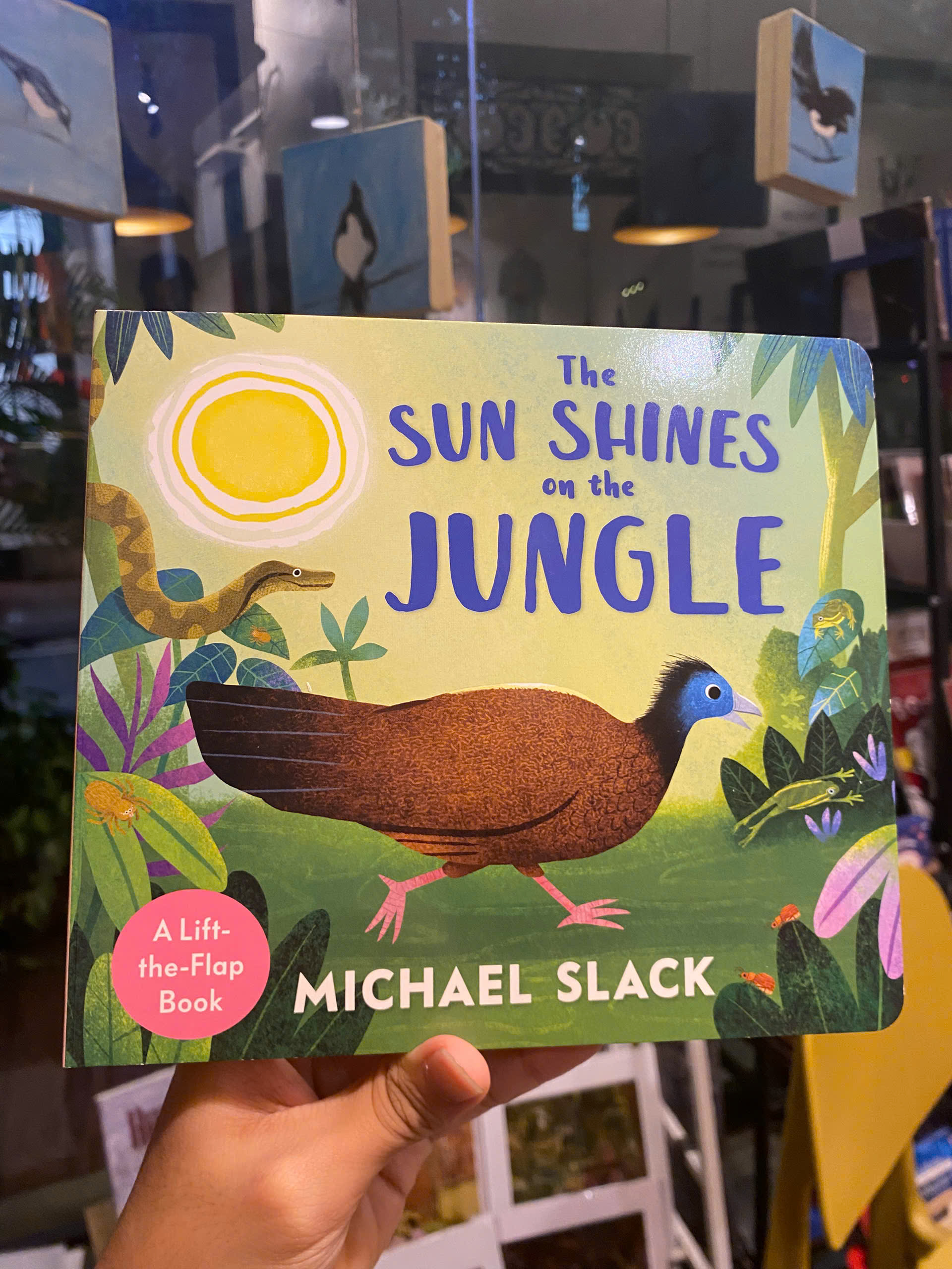 Sách - The Sun Shines on the Jungle by Michael Slack | English Children's Activity Picture Book