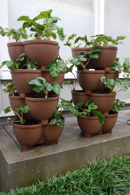 Chậu trồng cây cảnh Yamada, với 03 khoang, chậu có thể kết hợp trồng được các loại hoa khác nhau - nội địa Nhật Bản
