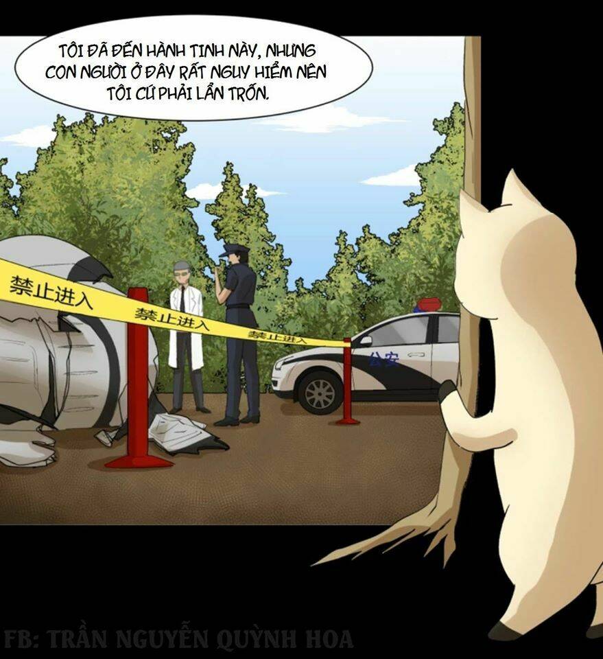 ngôi sao fod chapter 1 15