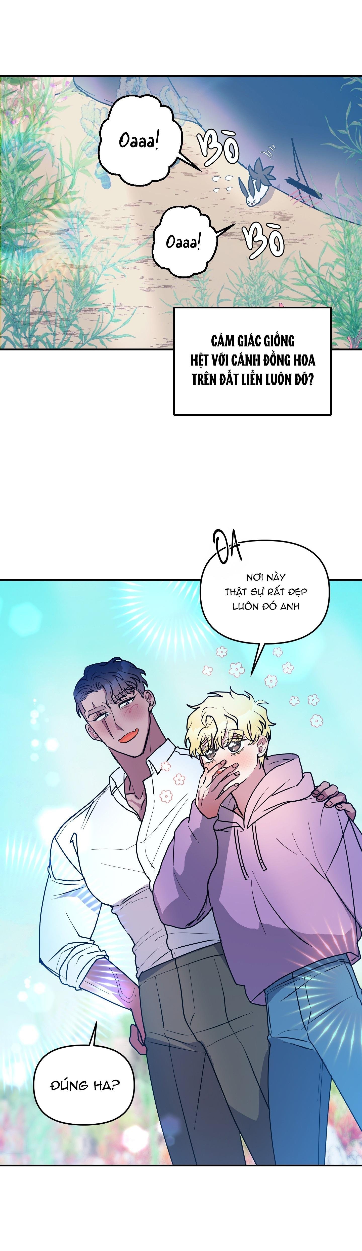 cá mập và cô dâu thỏ chapter 53 32