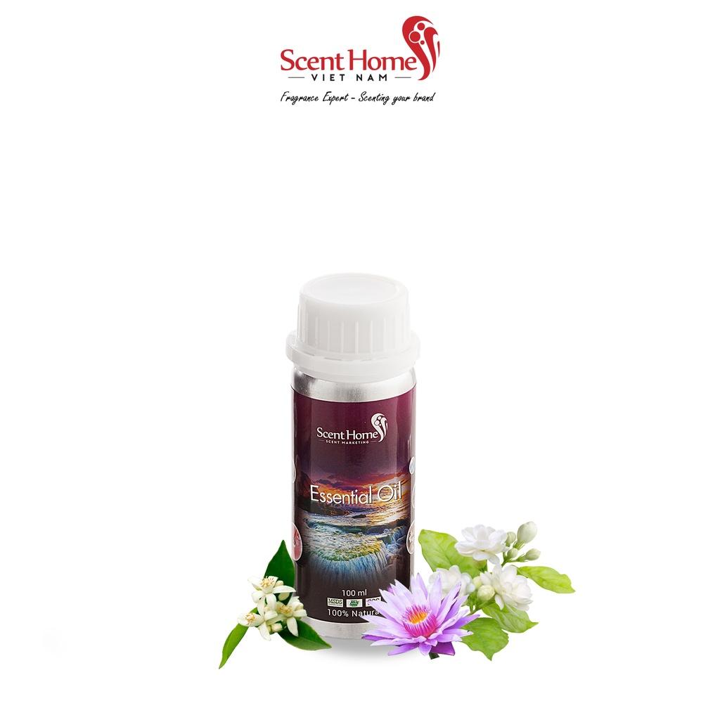 Tinh dầu Scent Homes - mùi hương