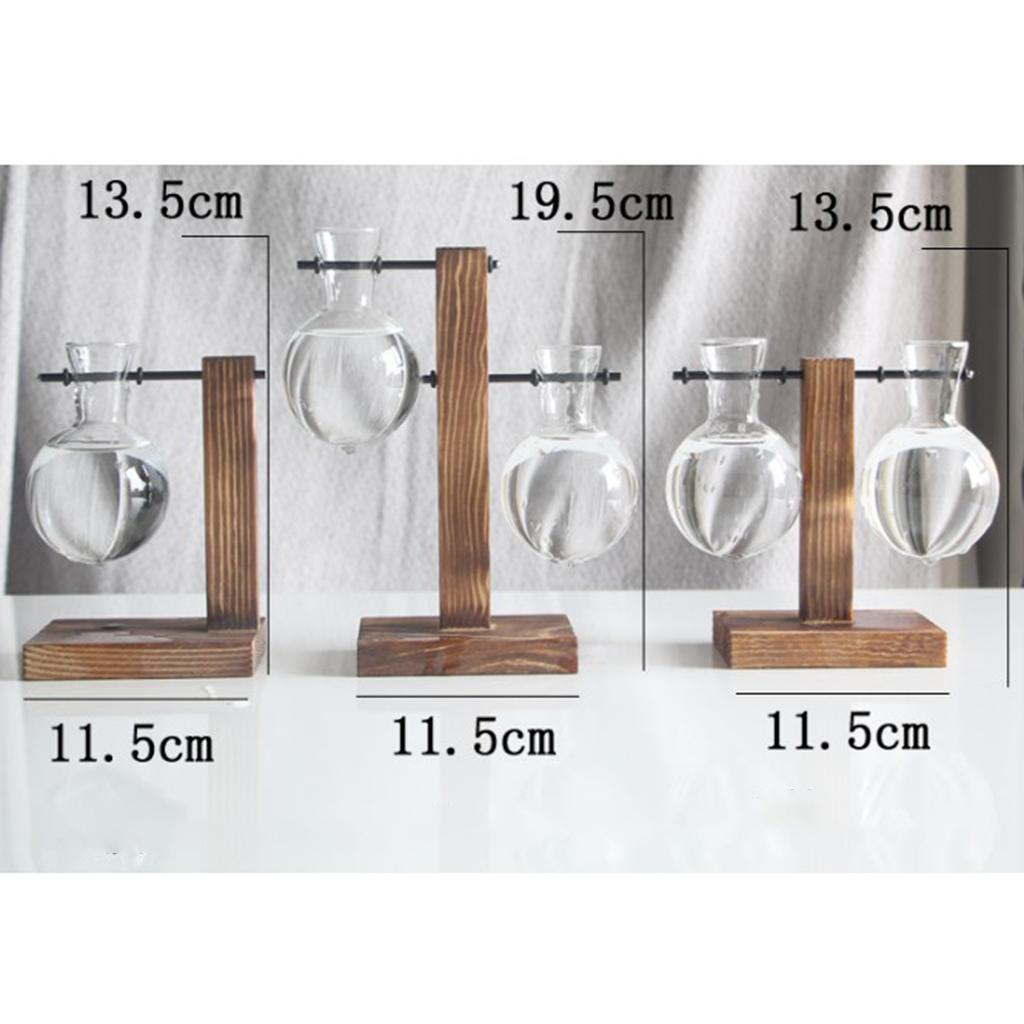 3X Test Tube Flower Vase Wooden Stand for  Plant Stand with 2 Vase