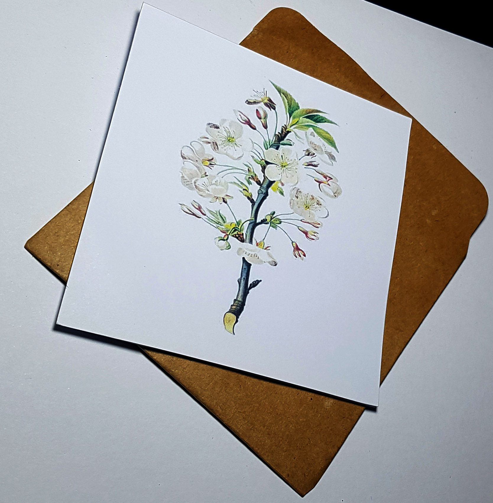 Thiệp phong cách Vintage card quà cám ơn ,chúc mừng sinh nhật và giử tặng người thân yêu