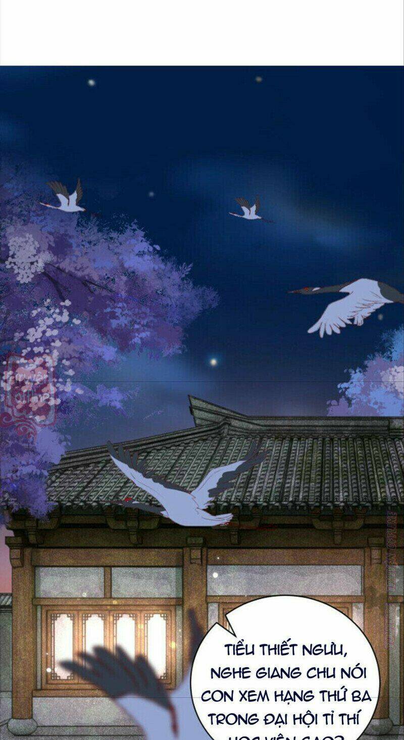 hắc hóa nam chính trực tuyến nuôi thỏ chapter 50 3