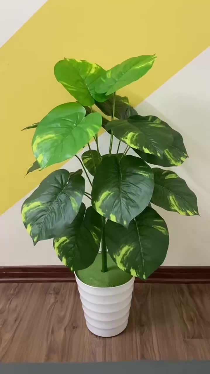 Chậu nhựa tròn cao xoắn trồng cây,trồng hoa miệng 32 cm - cao 26 cm - đáy 20cm