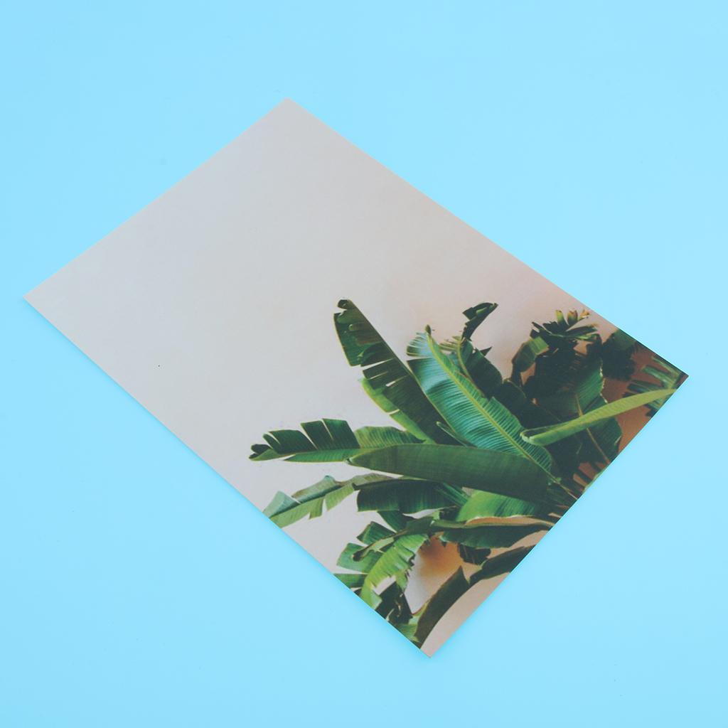 Photography Stuido Backdrop Leaf Card Picture