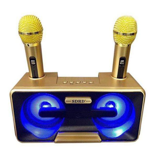 Loa hát karaoke SD-301.kèm 2 mic hát song ca tuyệt vời- Hàng chính hãng