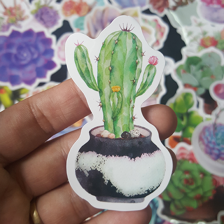 Bộ Sticker dán cao cấp chủ đề SEN ĐÁ SUCCULENTS - Dùng dán Xe, dán mũ bảo hiểm, dán Laptop