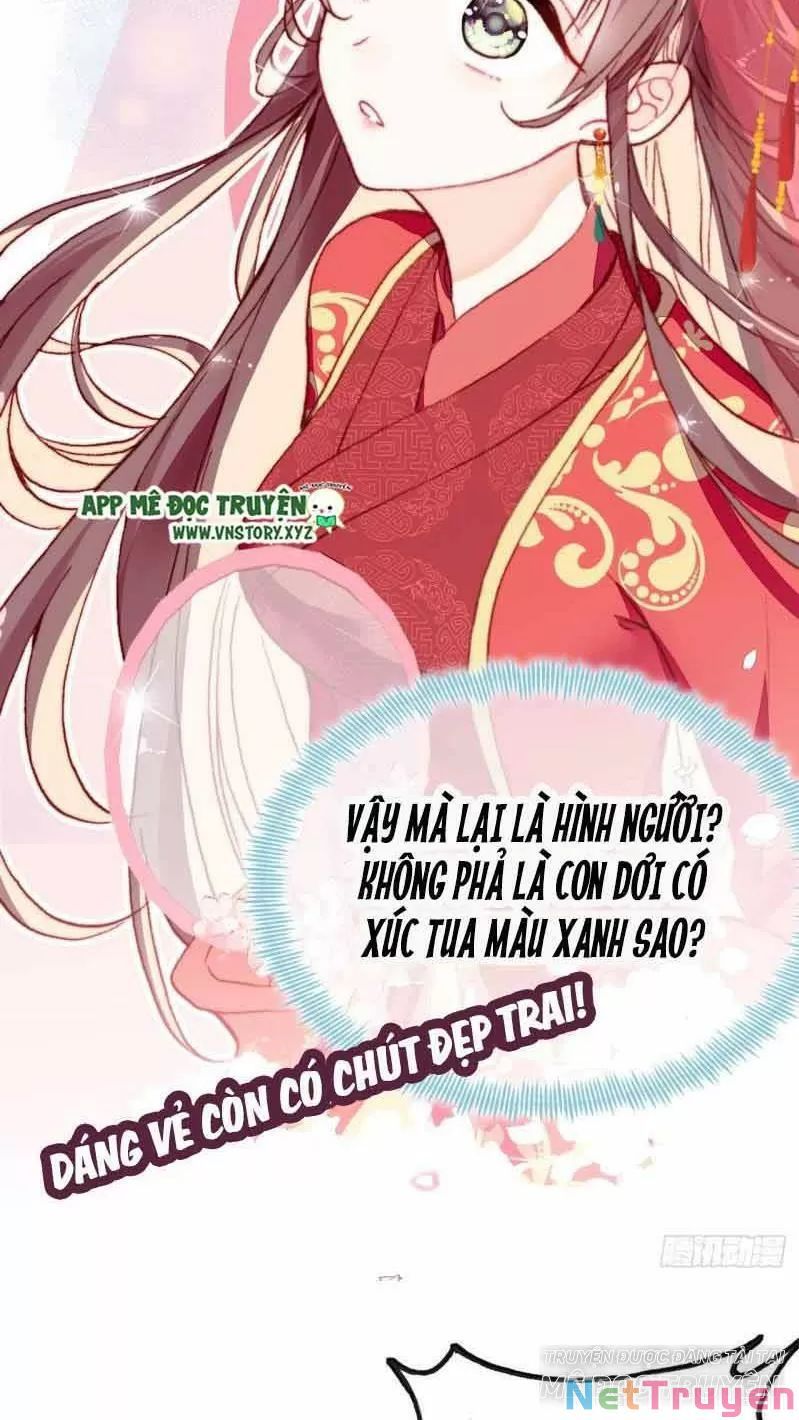 lại bị bệnh chiều chuộng quấn lấy chapter 1 36
