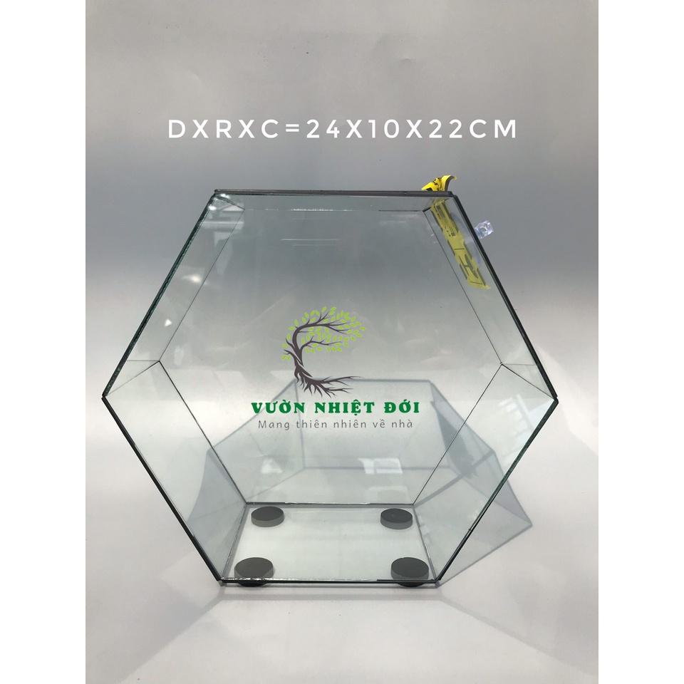 Bể Terrarium Đa Giác Setup Bán Cạn Để Bàn Làm Việc Mở Được Cánh Cửa