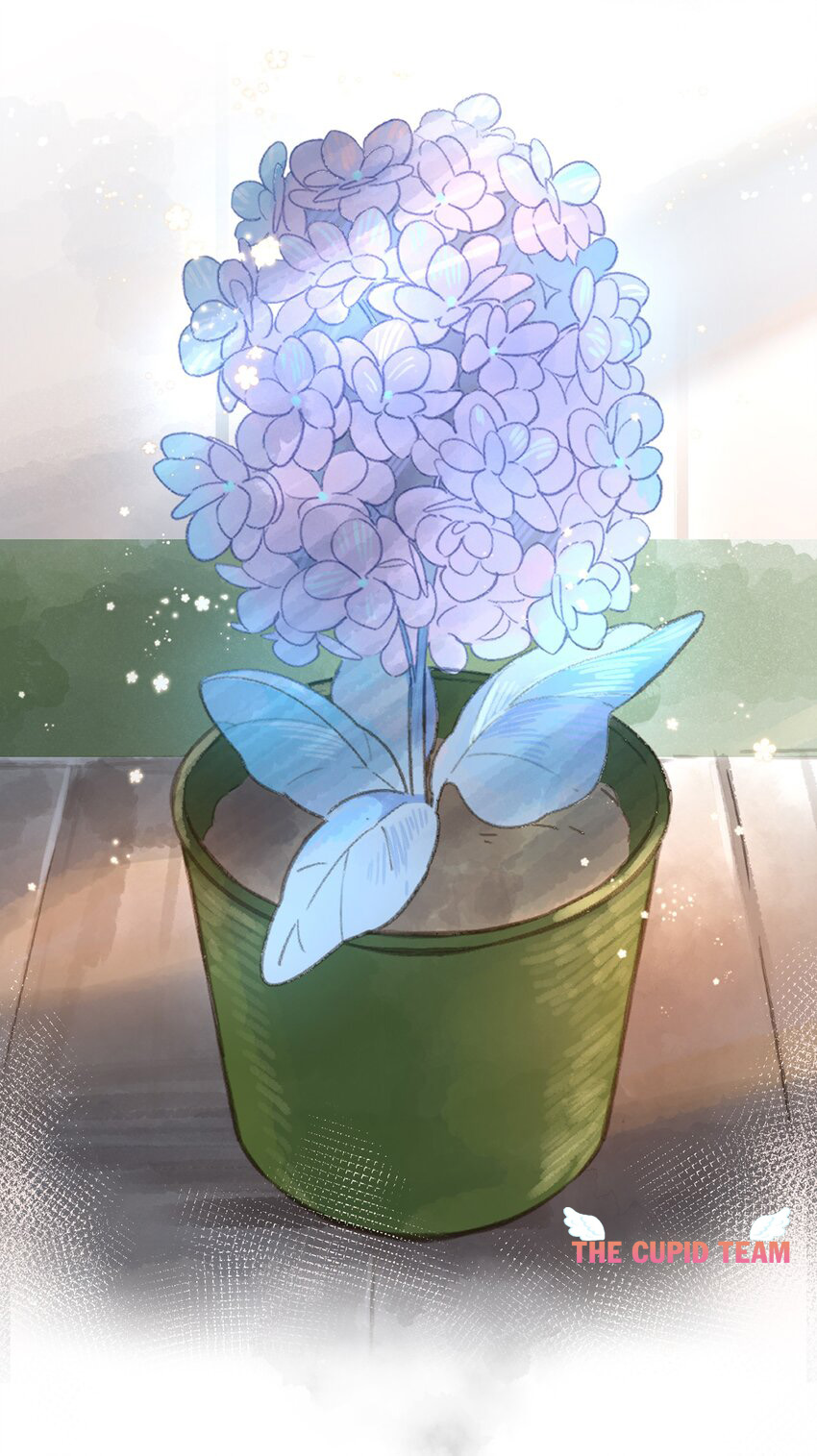 tiệm hoa hướng dương ở góc phố chapter 3 3