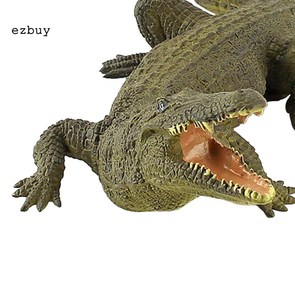 Lightweight Crocodiles Knowledge Toy Exquisite Crocodile Model Portable for Kids