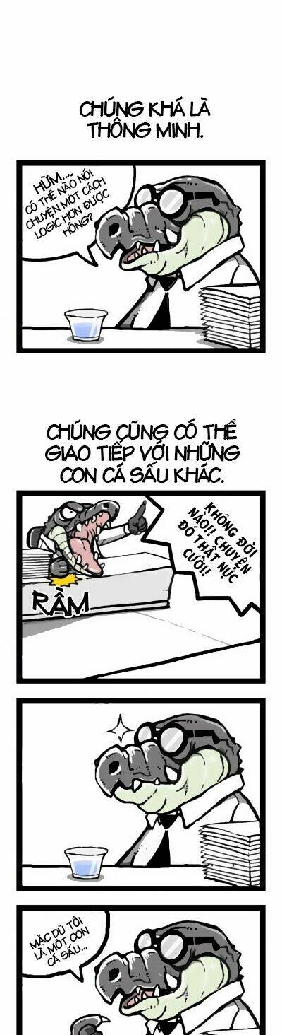 earth, human, and animal chapter 6 4