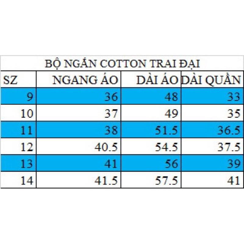Bộ ngắn bé trai size đại thun cotton in hình cá tính - pikakids