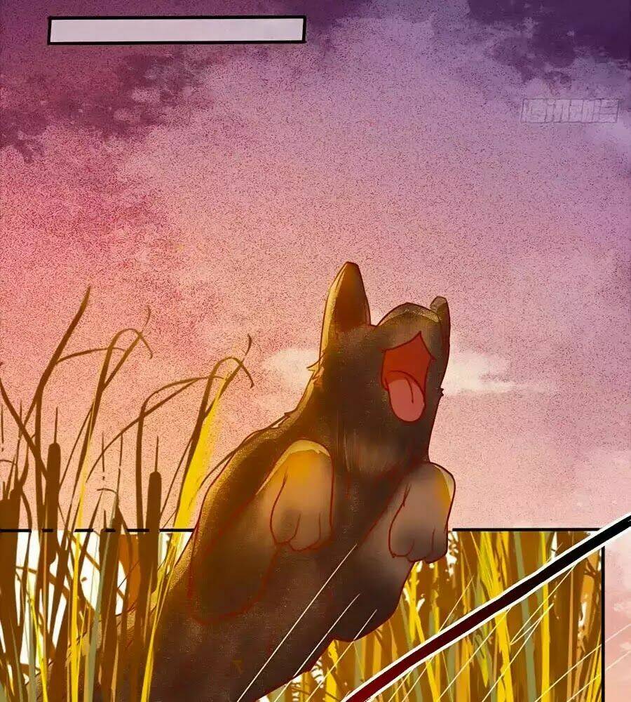 thần y khí nữ: ngự thú cuồng phi của quỷ đế chapter 63 52