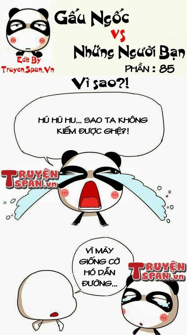 gấu ngốc và những người bạn chapter 17 9