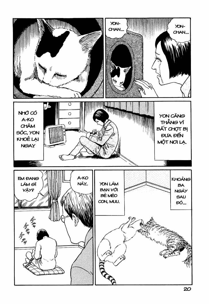 ito junji cat's diary chapter 2 8