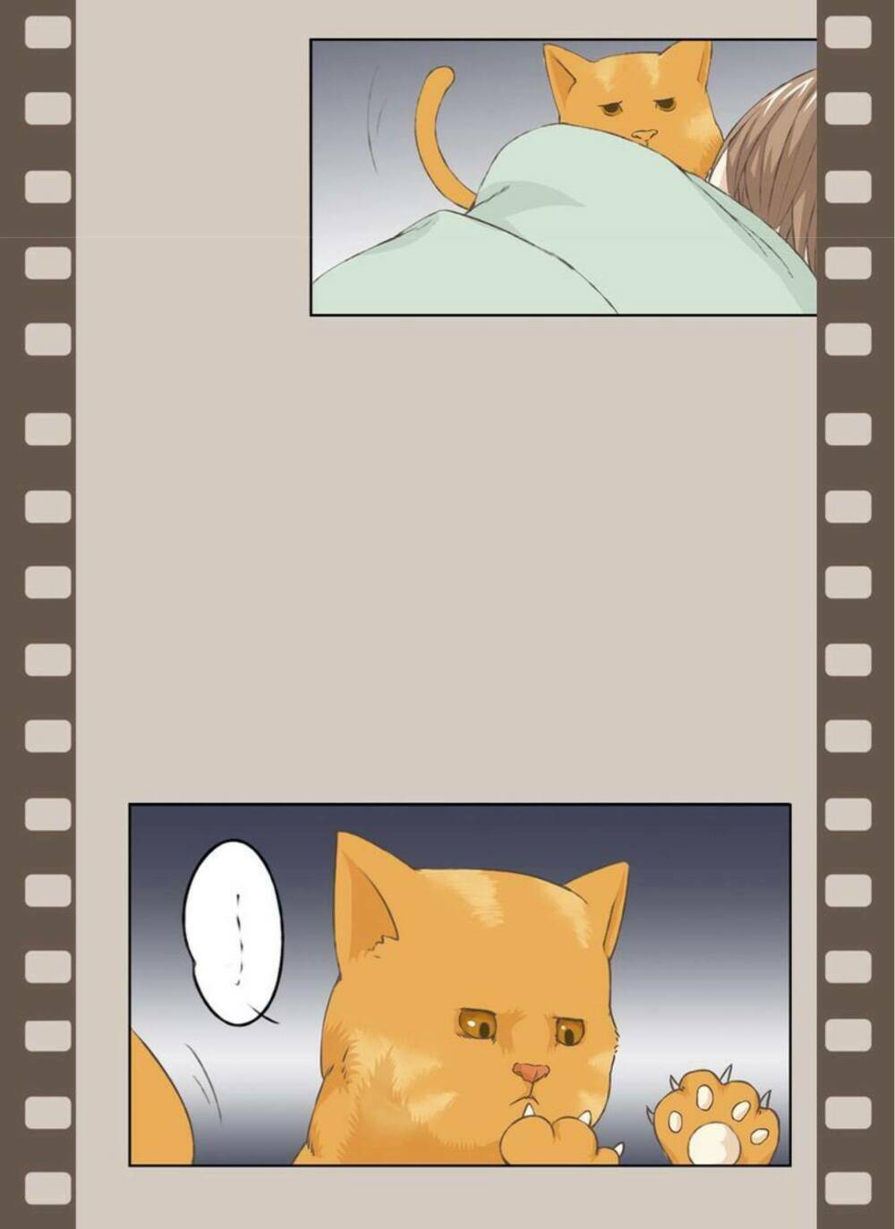 tôi không phải đa nhân cách chapter 11 3