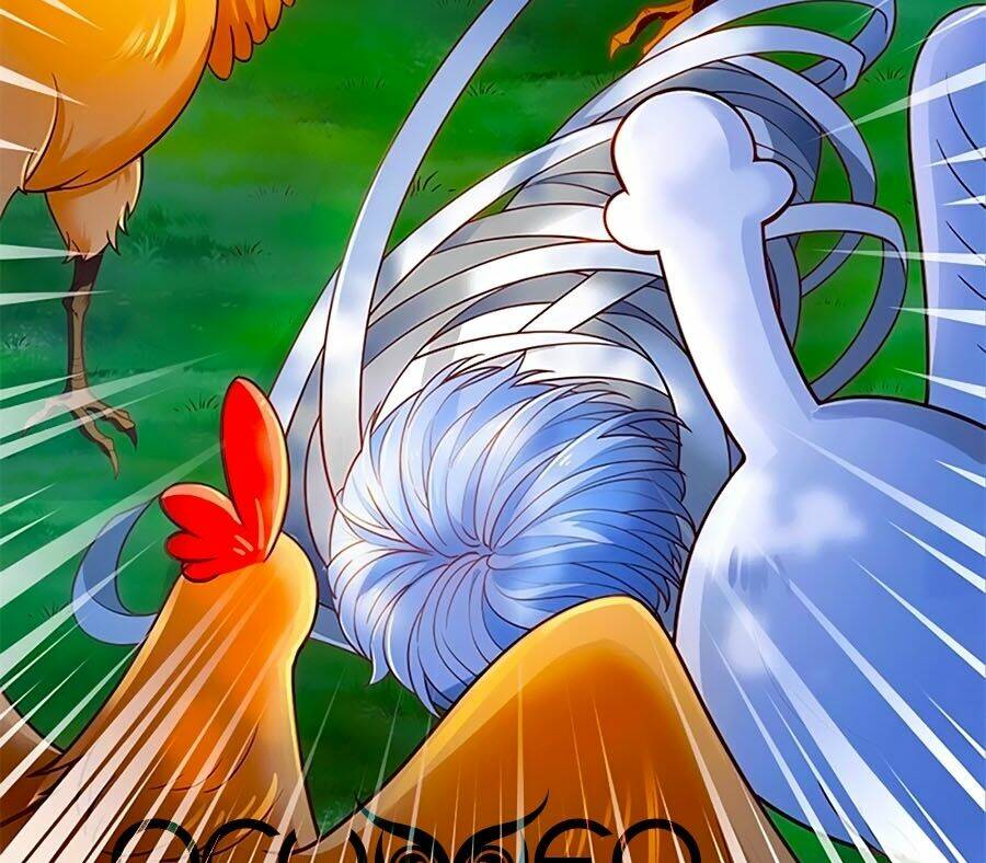 bỗng một ngày trở thành con gái nhà vua chapter 242 33